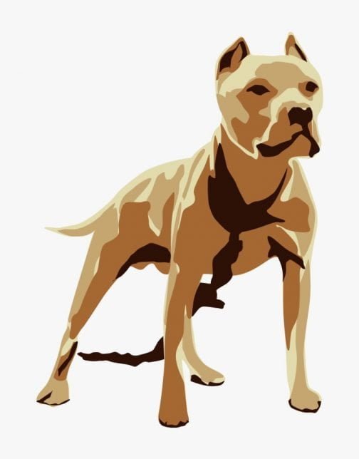 Pitbull perfect for watchdogs