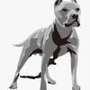 Pitbull perfect for watchdogs - Image 2