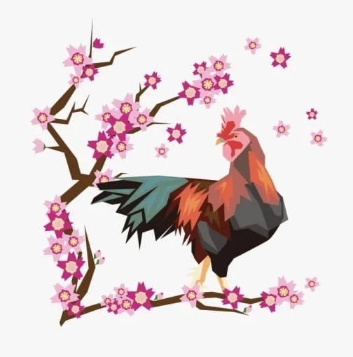 桜の木と鶏 / イラスト
