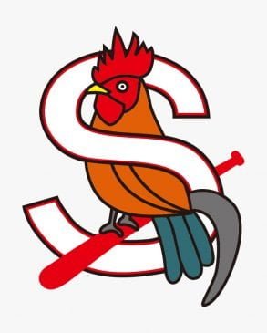 Chicken and alphabet S with baseball bat