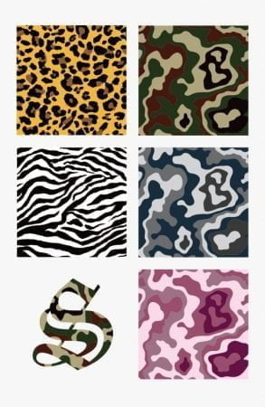 Animal Pattern & Camouflage