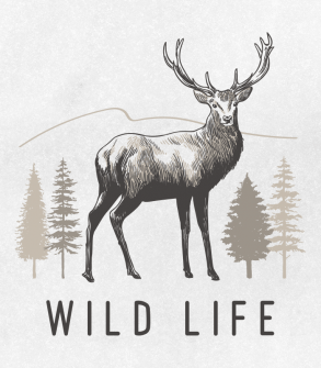 Deer in the forest / Drawing