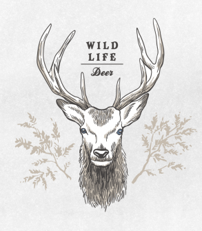 Deer and branches  / Drawing
