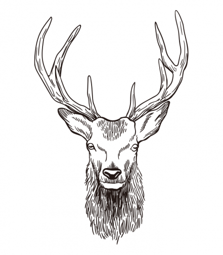 Deer and branches / Drawing | ai illustrator file | US$5.00 each | Ai ...