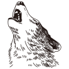Heulender Wolf / Zeichnung – Bild 2