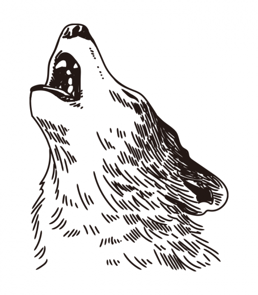 Воющий волк / Рисунок