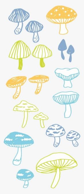 Conjunto de cogumelos escandinavos / Desenho