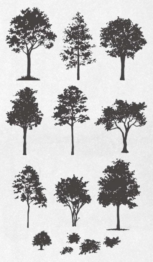 Ensemble de silhouettes d'arbres à feuilles caduques / Dessin