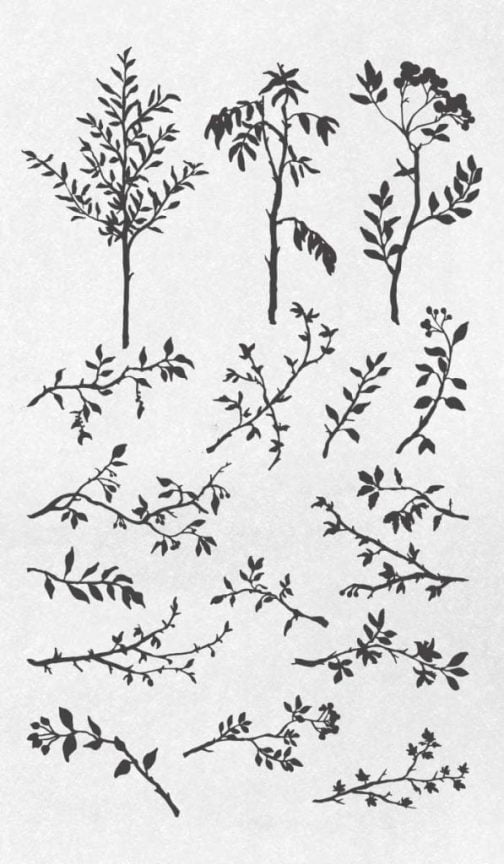 Conjunto de silhueta do ramo / Desenho