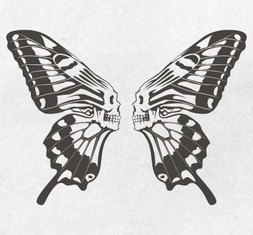Schädel Schmetterling 01 / Zeichnung