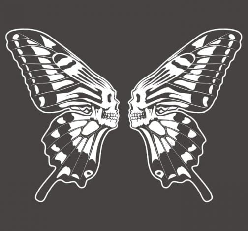 Papillon crâne 01 / Dessin