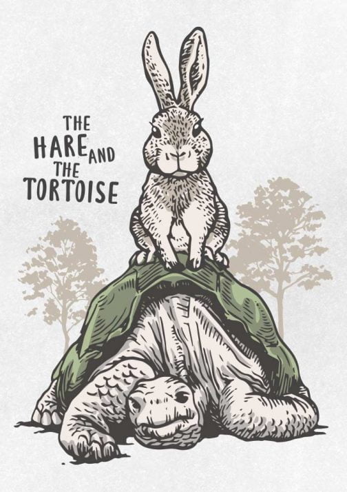 Der Hase und die Schildkröte / Zeichnung