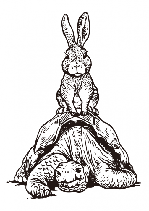الأرنب والسلحفاة / الرسم
