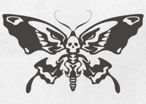 Papillon crâne 02 / Dessin