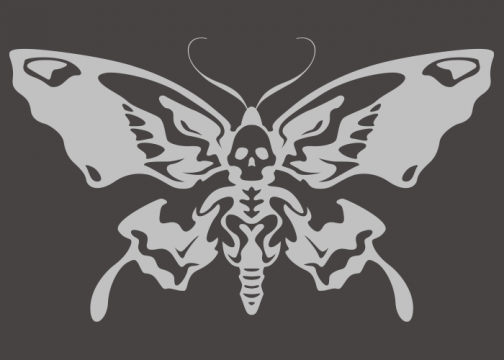 Skull butterfly 02 / Drawing