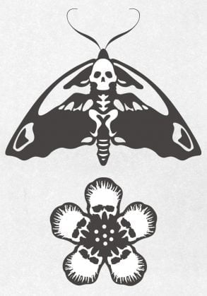 Papillon crâne et fleur crâne / Dessin