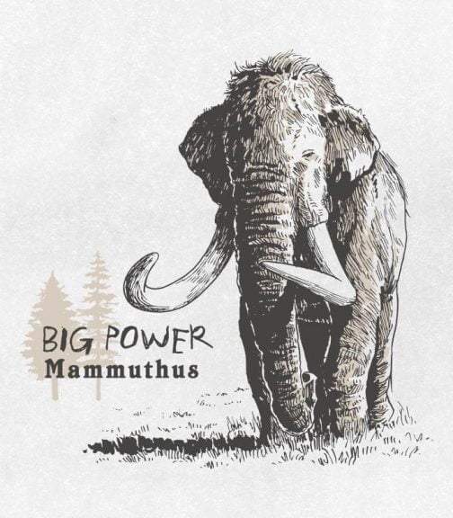 Mammoth (Mammuthus columbi) with great power / Drawing
