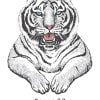 Conjunto de dos tigres / Dibujo - Imagen 2
