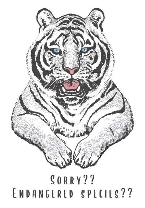 Set of two tigers / Drawing