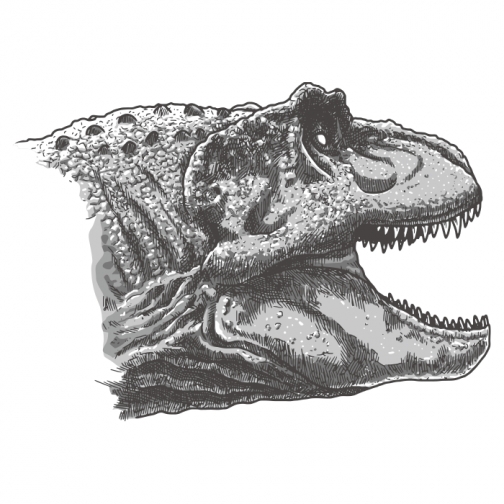 Dinosaur Tyrannosaurus Rex 01 / Face / Drawing