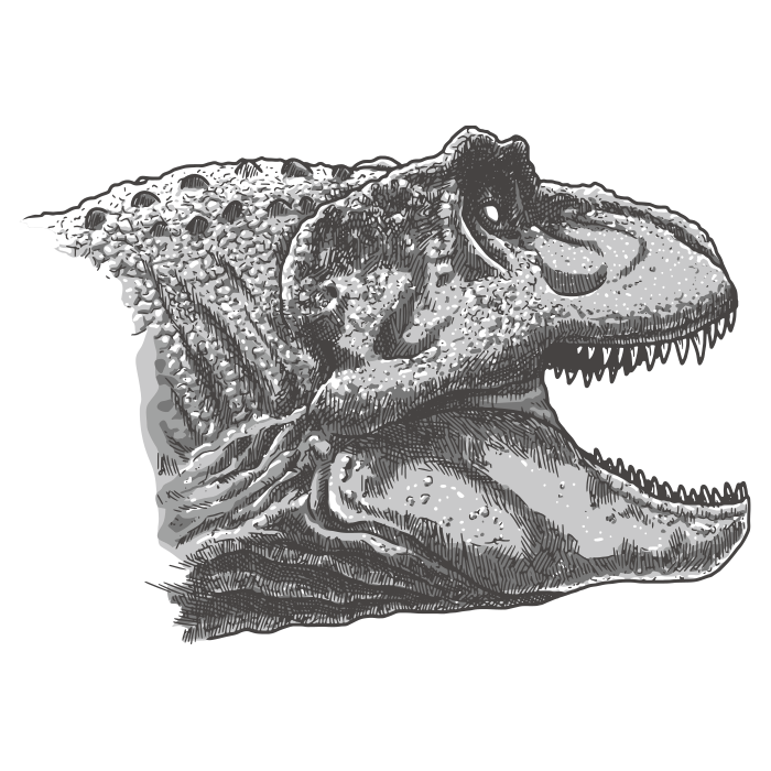 Dinossauro Tyrannosaurus Rex 01 / Rosto / Desenho