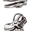 Osso de dinossauro (esqueleto) 01 / Desenho, ai illustrator file, US$5.00  each