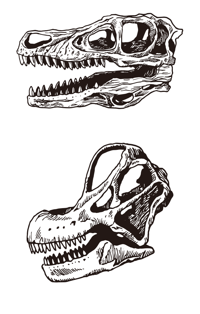 dinosaur with a bone on its head