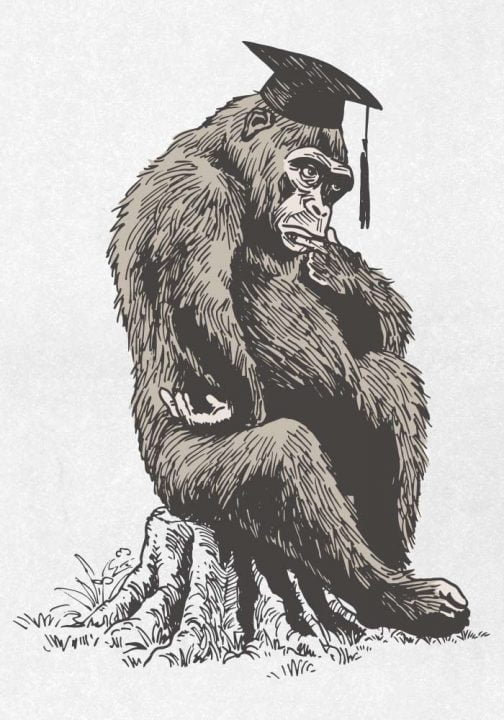Myślący szympans w czapce absolwenta / Rysunek