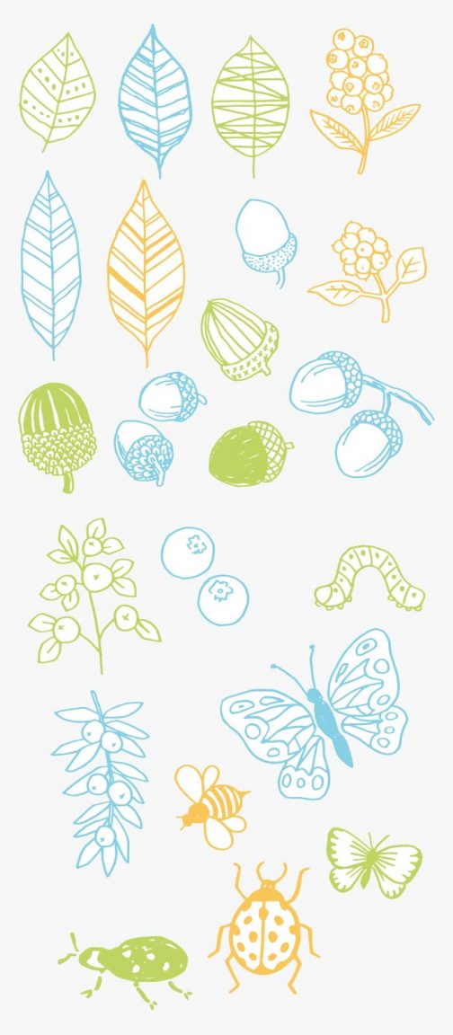 Conjunto de plantas escandinavas (con insectos) / Dibujo