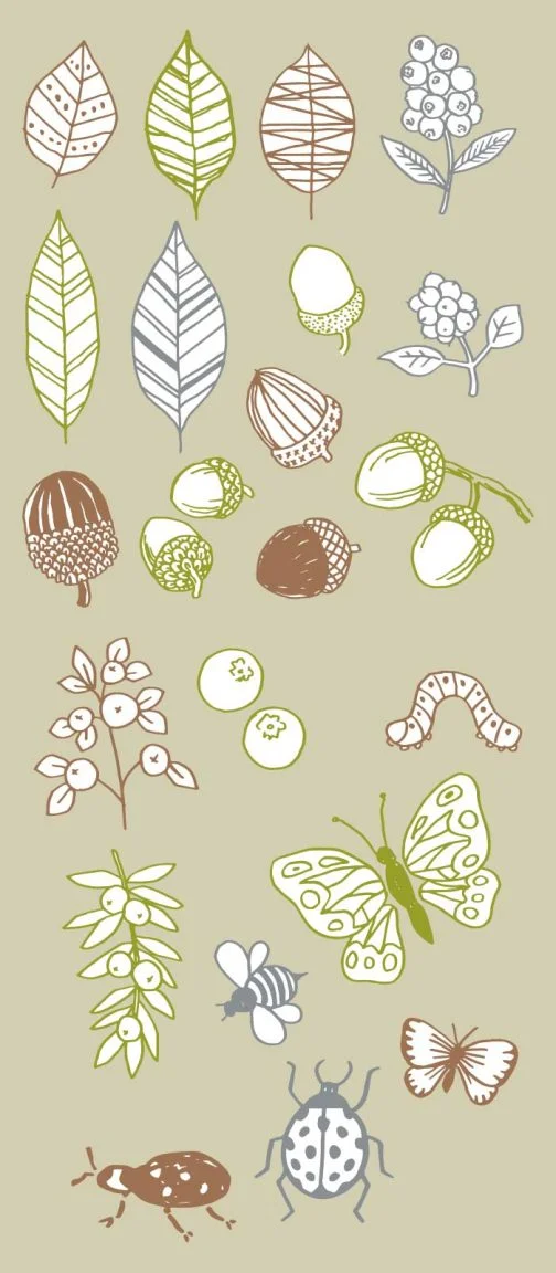 مجموعة من النباتات الاسكندنافية (مع الحشرات) / رسم