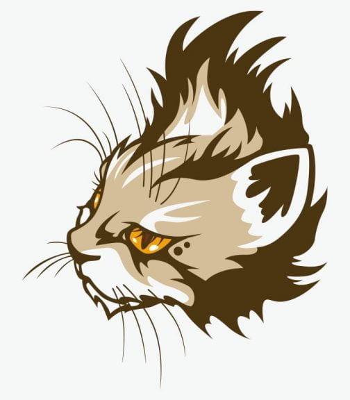 Породная кошка в стиле ирокез / Рисунок