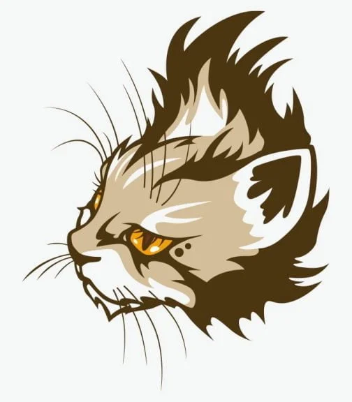 Mohawk style rock cat / Drawing