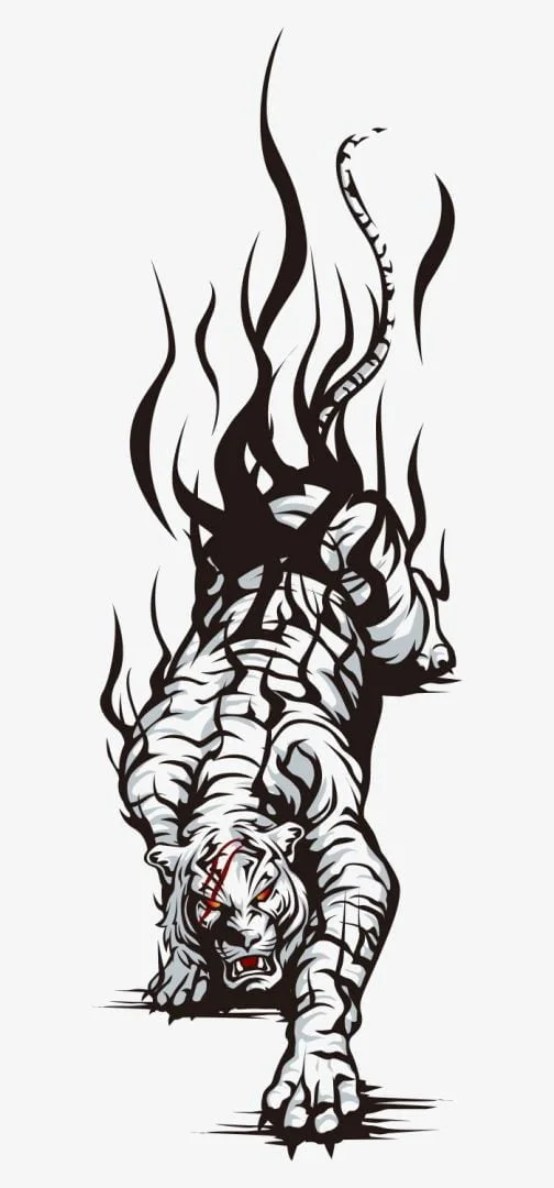 White tiger and flame / Drawing