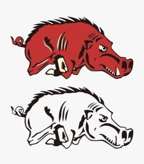 Boar rushing