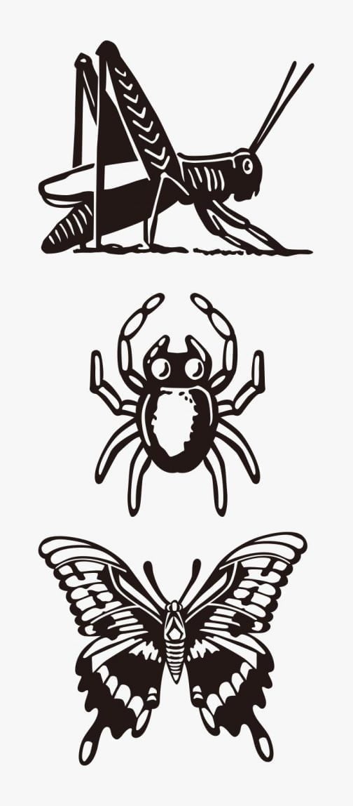 Insectos / Ácaros borboletas de gafanhotos