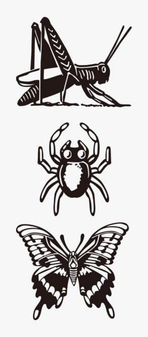 Insectes / Acariens du criquet pèlerin
