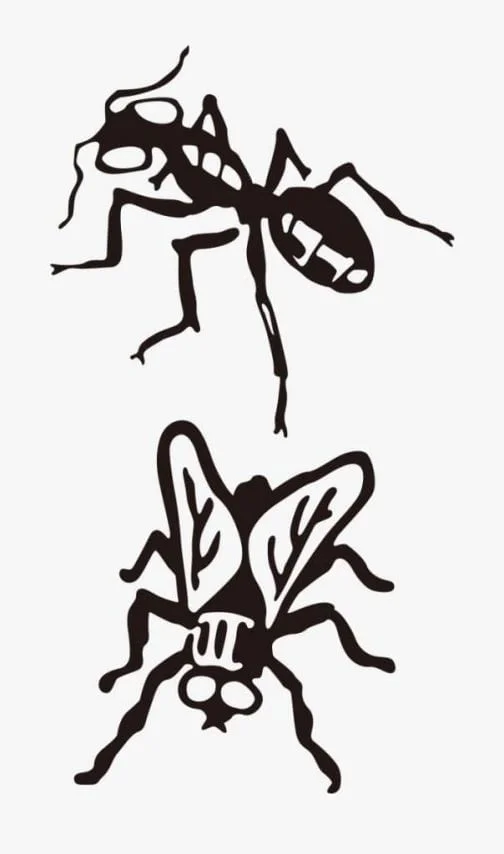Insectos Hormiga / Moscas