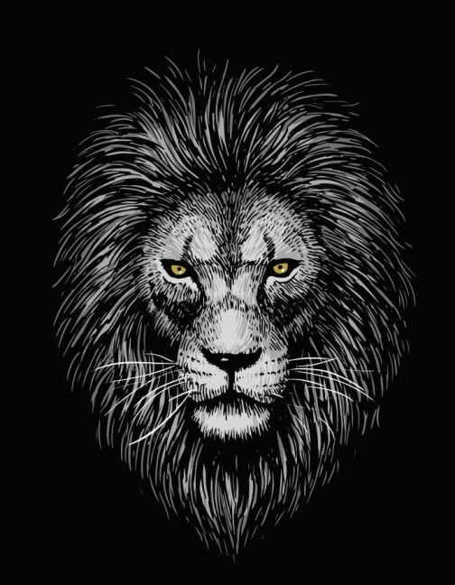 Самец льва, скрывающийся в темноте / Рисунок