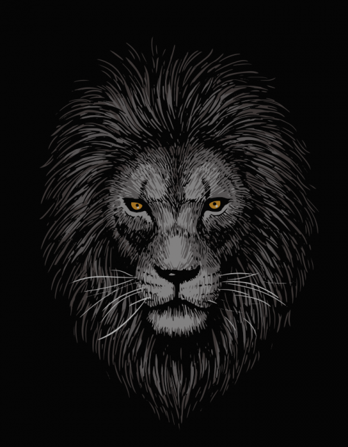 Самец льва, скрывающийся в темноте / Рисунок
