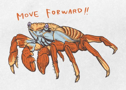 Red rock crab (another name:Sally Lightfoot Crab) / Drawing