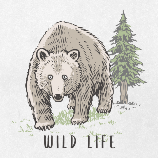 Odręcznie pisany grizzly / Rysunek