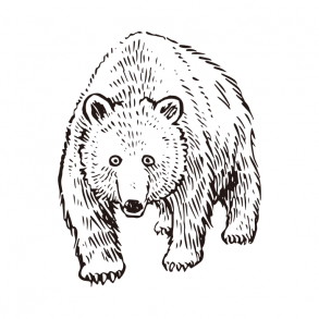 Handwritten grizzly / Drawing | ai illustrator file | US$5.00 each | Ai ...