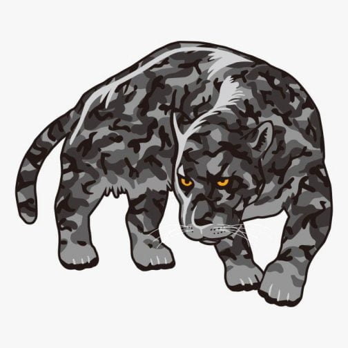 Black leopard staring in the distance / Panther / Jaguar / Cheetah / Puma  / camouflage / Drawing