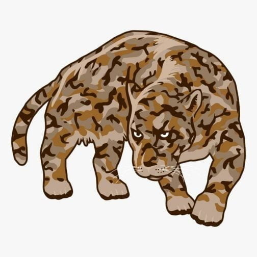 Léopard noir regardant au loin / Panthère / Jaguar / Guépard / Puma / camouflage / Dessin