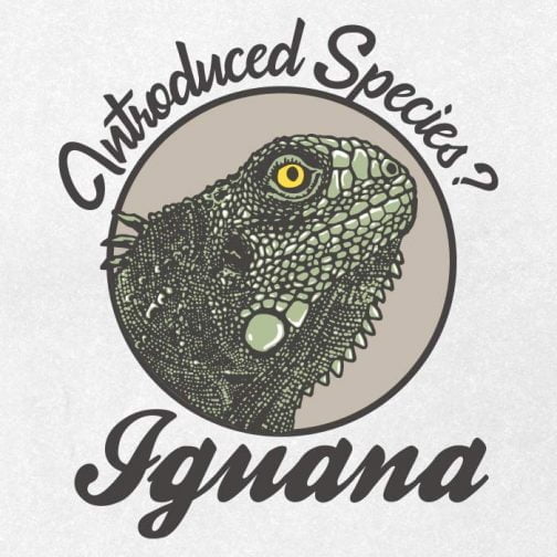 Conception du logo du visage de l'Iguane vert / Dessin