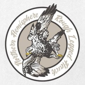 Rough Legged Hawk logo design / Drawing | ai illustrator file | US$5.00 ...