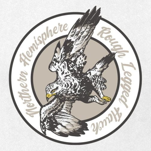 Rough Legged Hawk logo design / Drawing