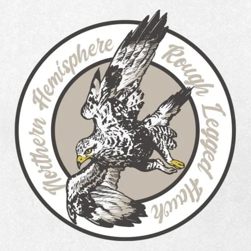 Design del logo del falco dalle zampe ruvide / Disegno