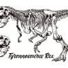 Dinossauro Tyrannosaurus Rex 03 / Corpo inteiro / Desenho, ai illustrator  file, US$5.00 each