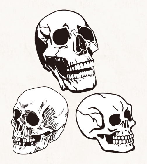 Набор черепов / Рисунок